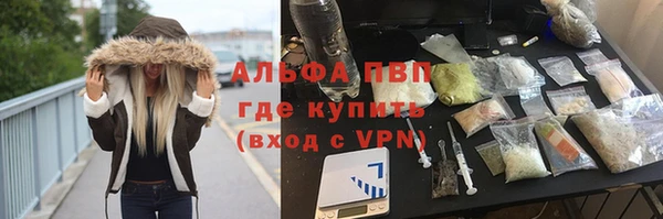 эйфоретик Вяземский
