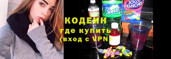 эйфоретик Вяземский